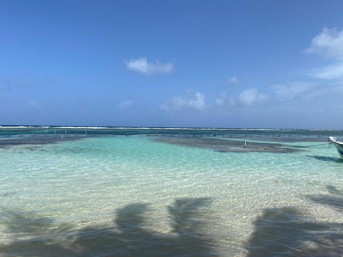 Hotel Blue Reef Frente Al Mar Mahahual Luaran gambar