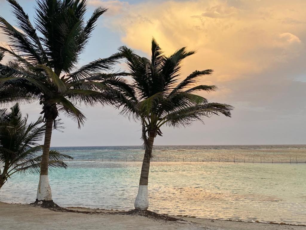 Hotel Blue Reef Frente Al Mar Mahahual Luaran gambar