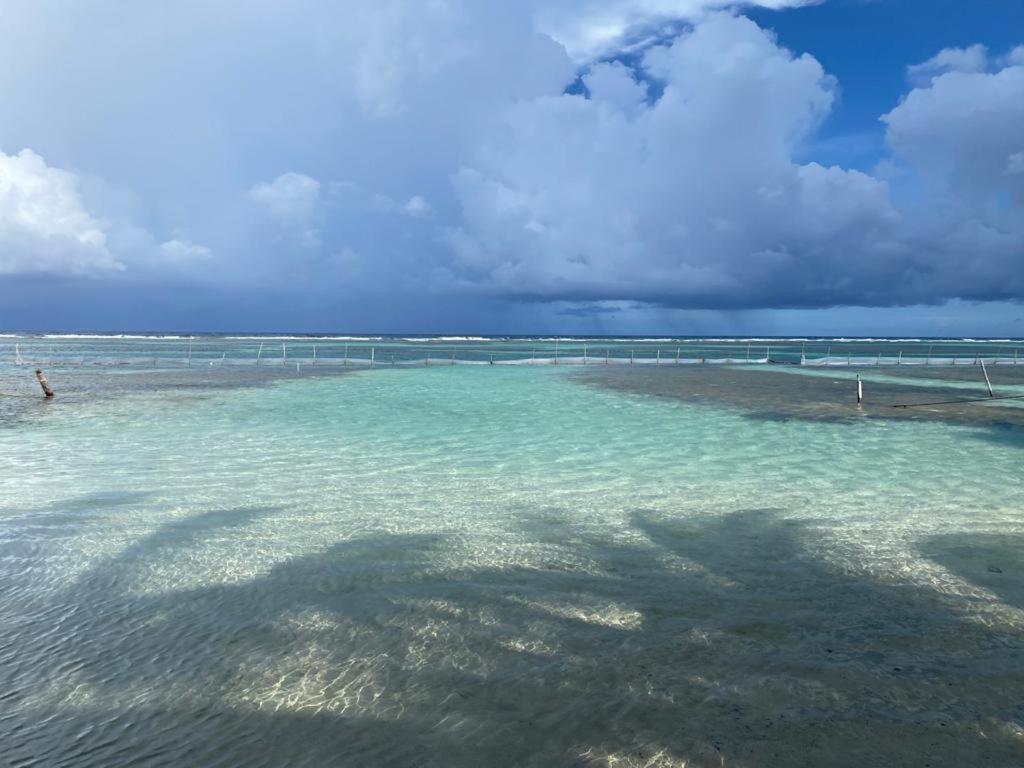 Hotel Blue Reef Frente Al Mar Mahahual Luaran gambar